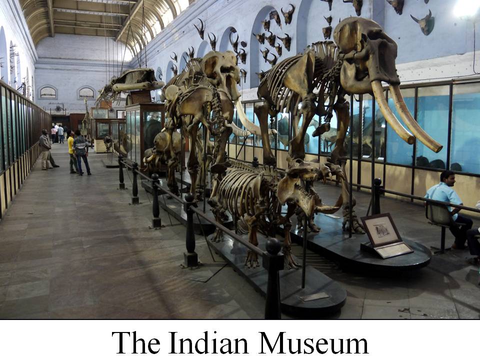 indian_museum